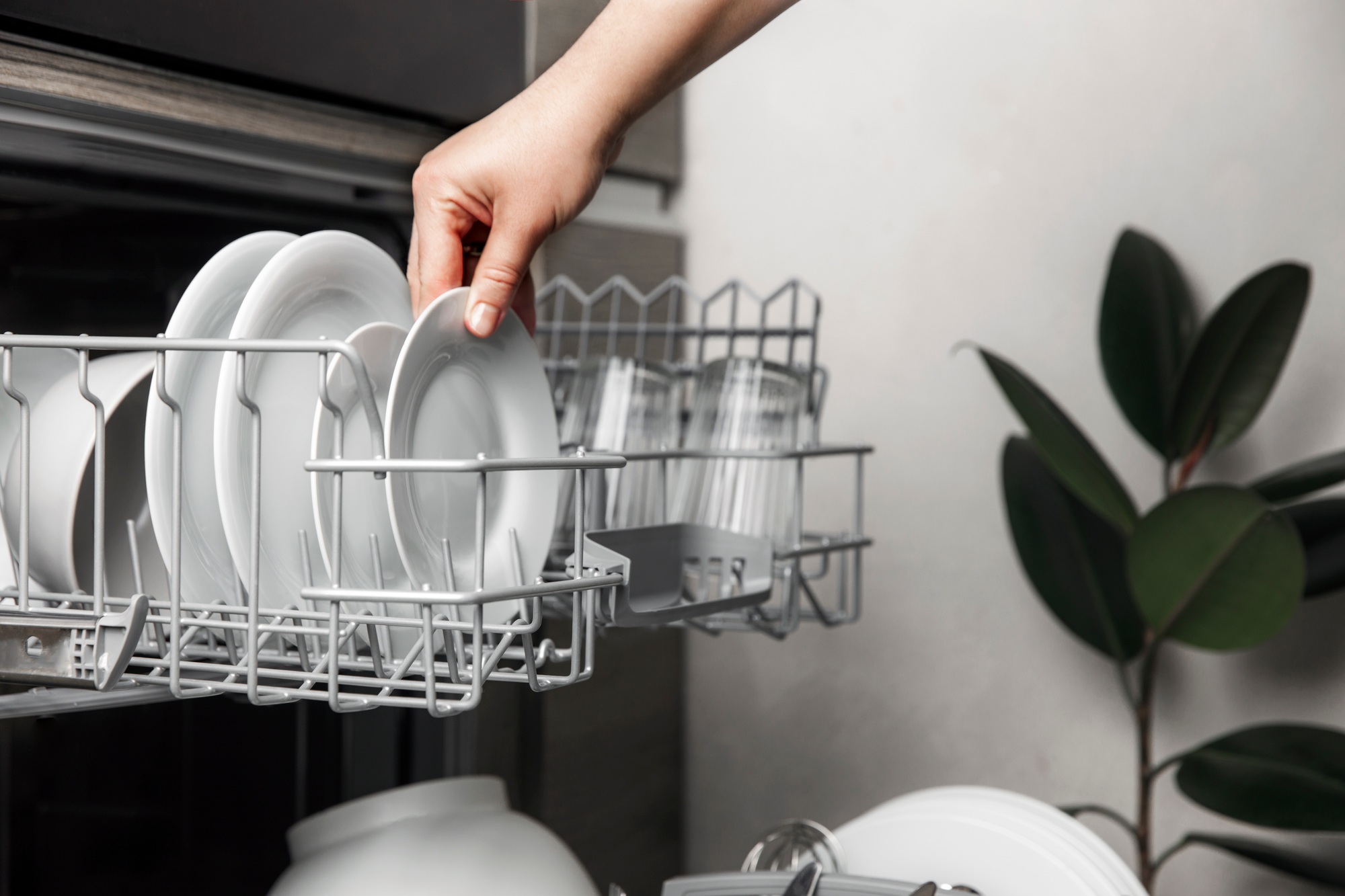 Open dishwasher with clean cutlery, glasses, dishes inside in the home kitchen